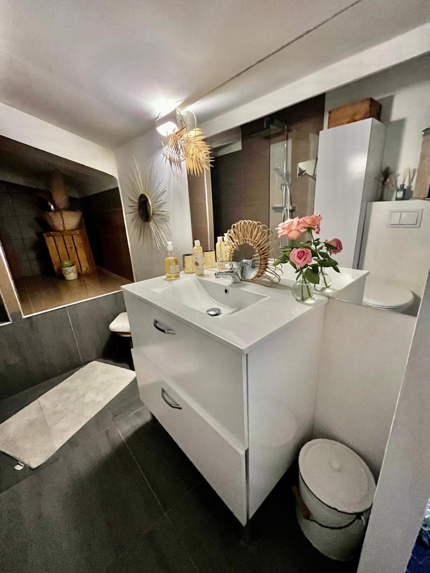 Appartement Loft Atypique Au Milieu Des Champs à Tourrettes Extérieur photo